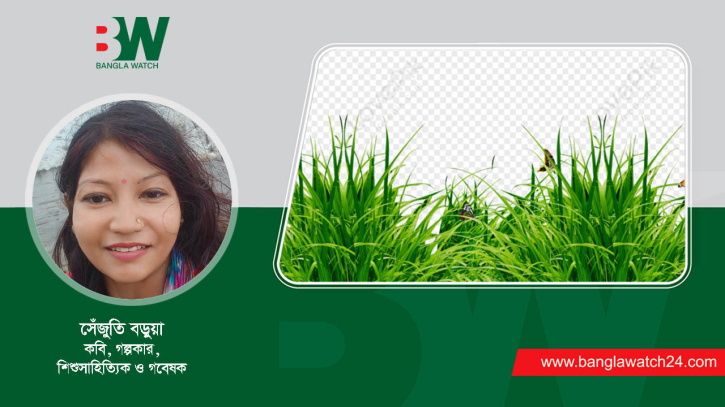 বিভ্রান্তি ও অন্যান্য বিভ্রান্তি ও অন্যান্য
