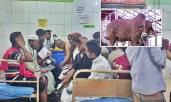 কোরবানির দিনে আহত ১১০ জন, ঢামেকে ভর্তি ৩ জন